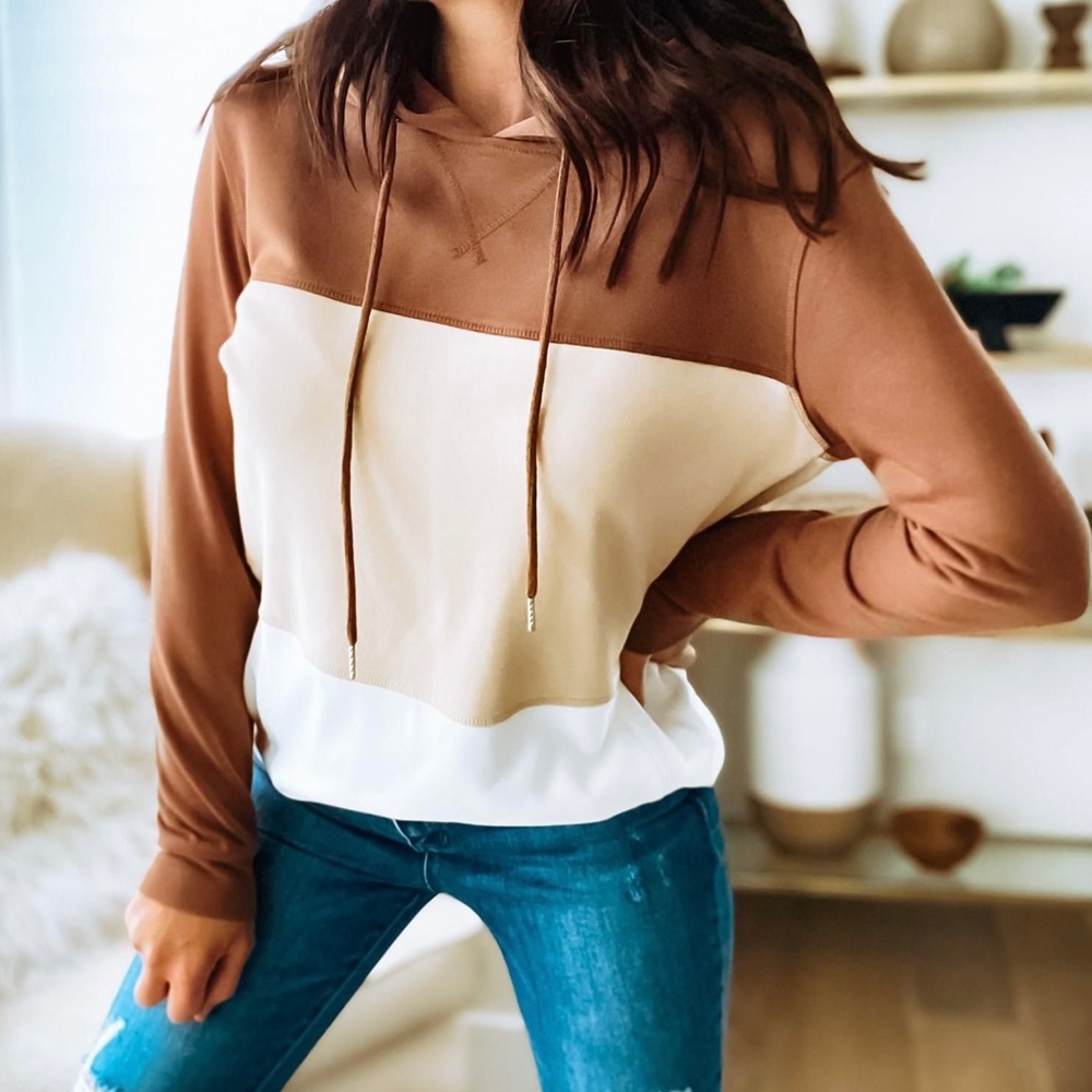 Color block hoodie sweater